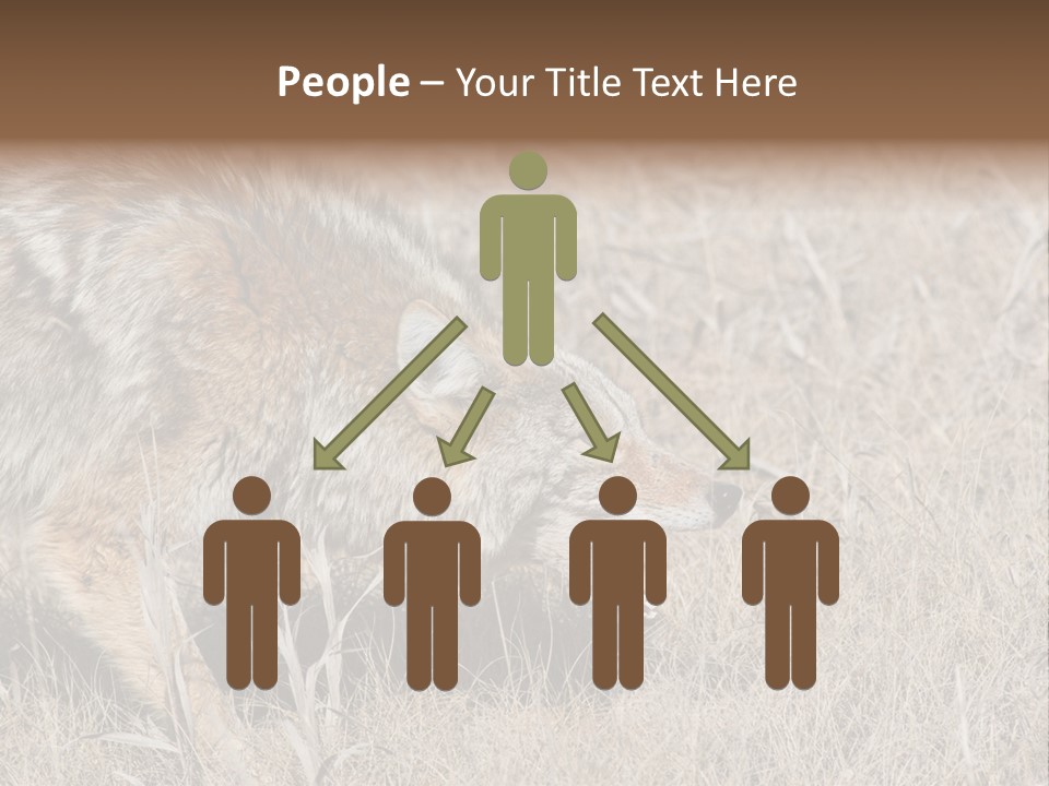 Animal Canada Rural PowerPoint Template