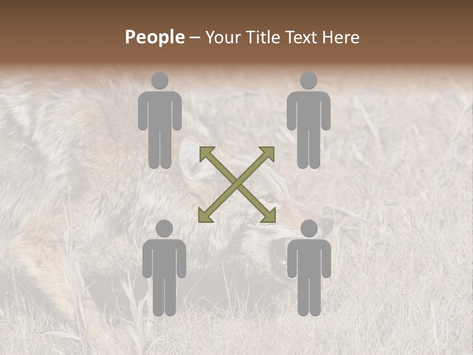 Animal Canada Rural PowerPoint Template
