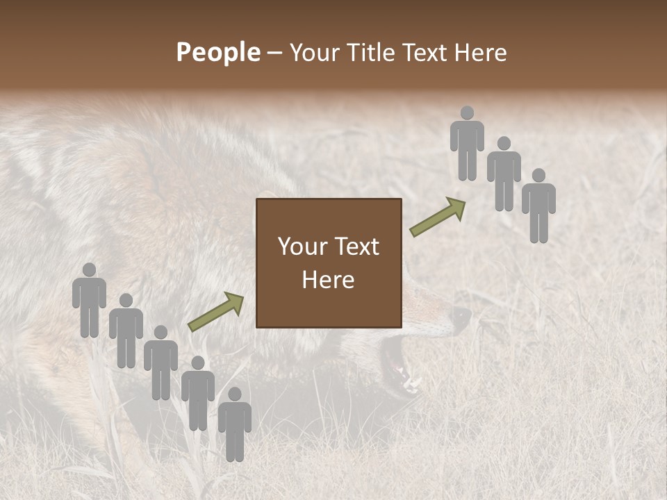 Animal Canada Rural PowerPoint Template