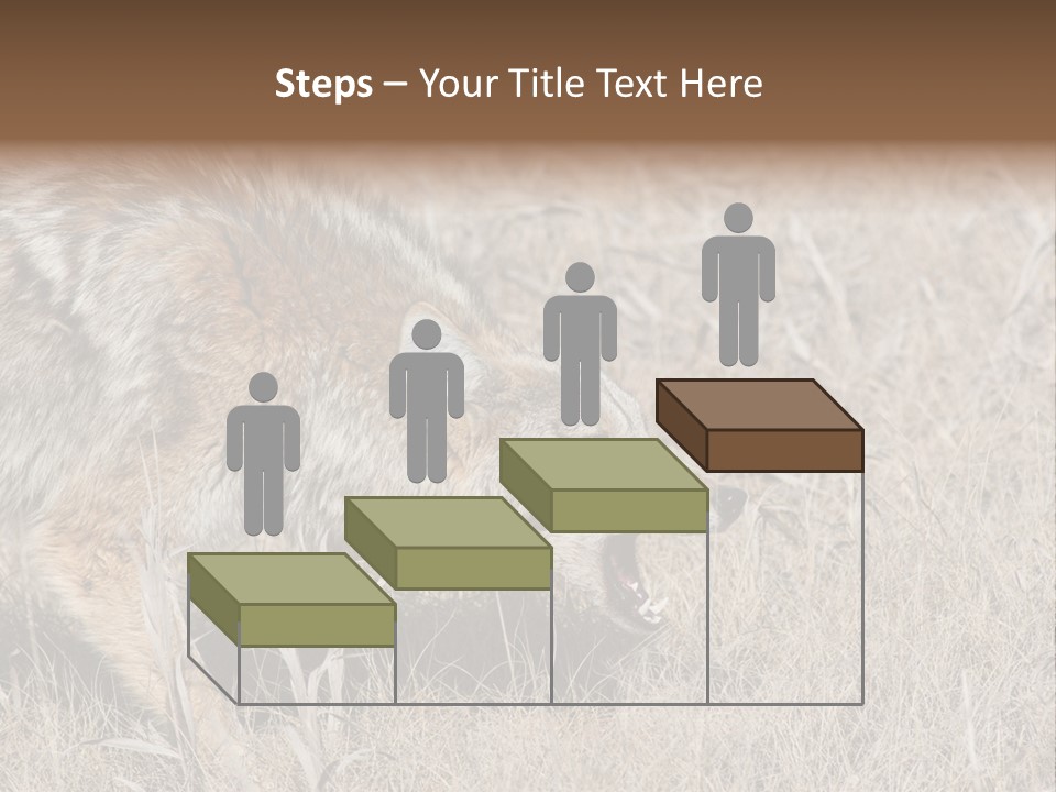 Animal Canada Rural PowerPoint Template