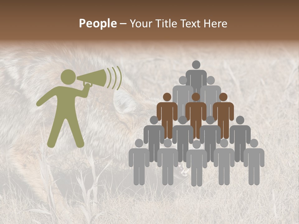 Animal Canada Rural PowerPoint Template