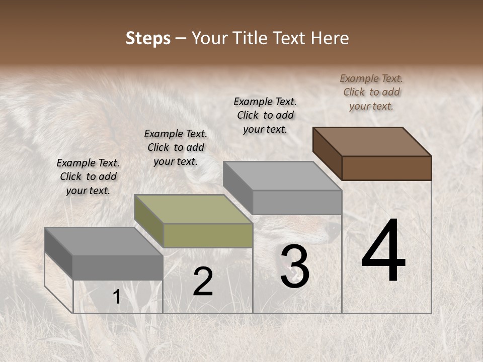 Animal Canada Rural PowerPoint Template