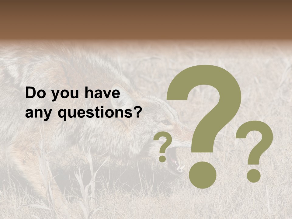 Animal Canada Rural PowerPoint Template