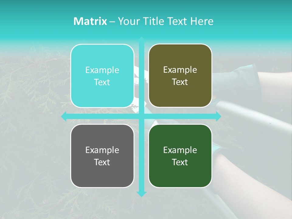 Thuja Shearing Equipment PowerPoint Template