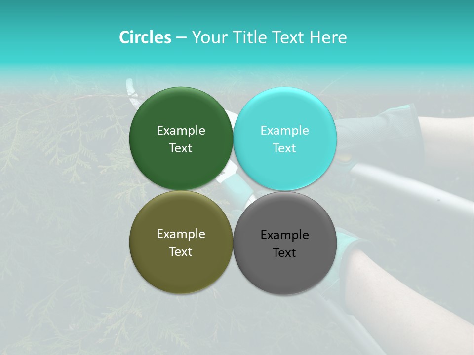 Thuja Shearing Equipment PowerPoint Template