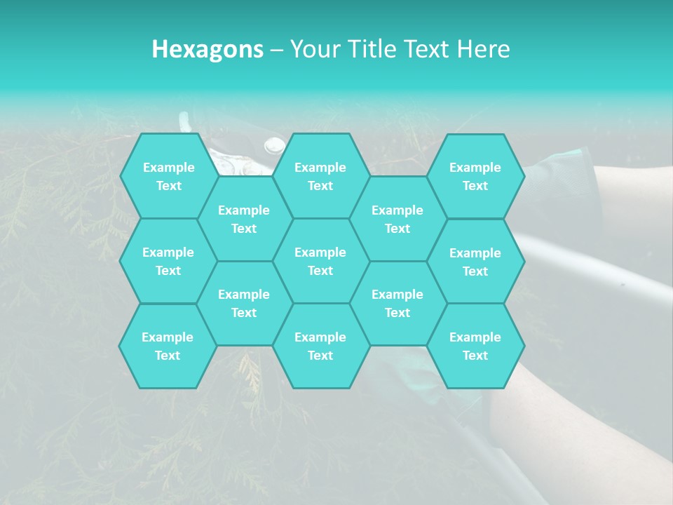 Thuja Shearing Equipment PowerPoint Template