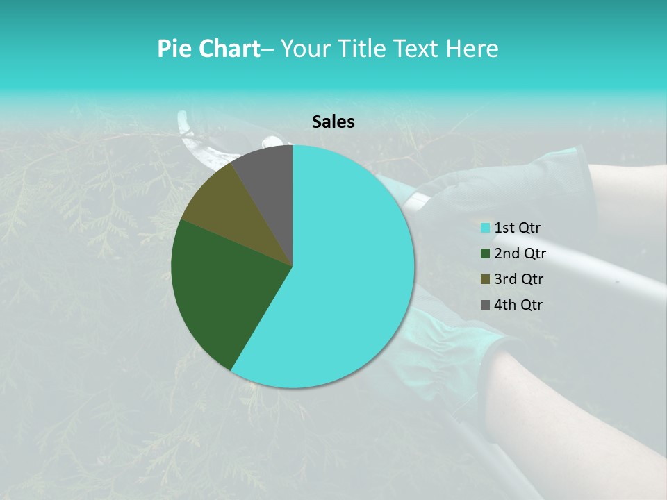 Thuja Shearing Equipment PowerPoint Template