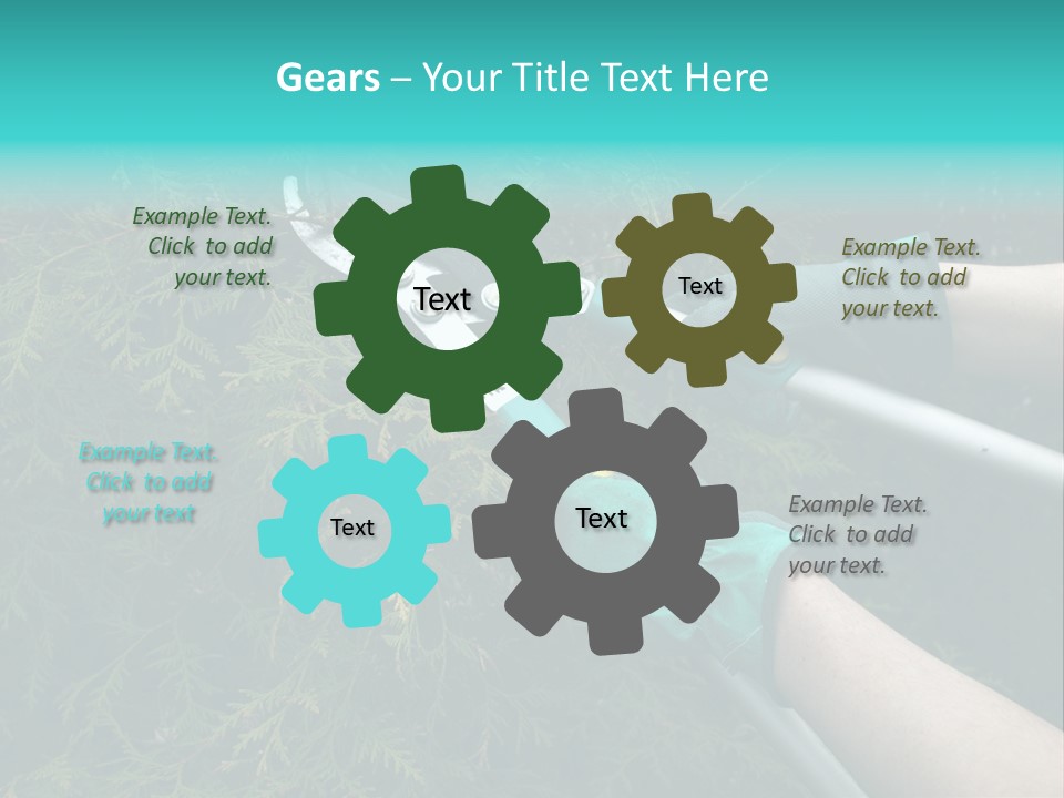 Thuja Shearing Equipment PowerPoint Template