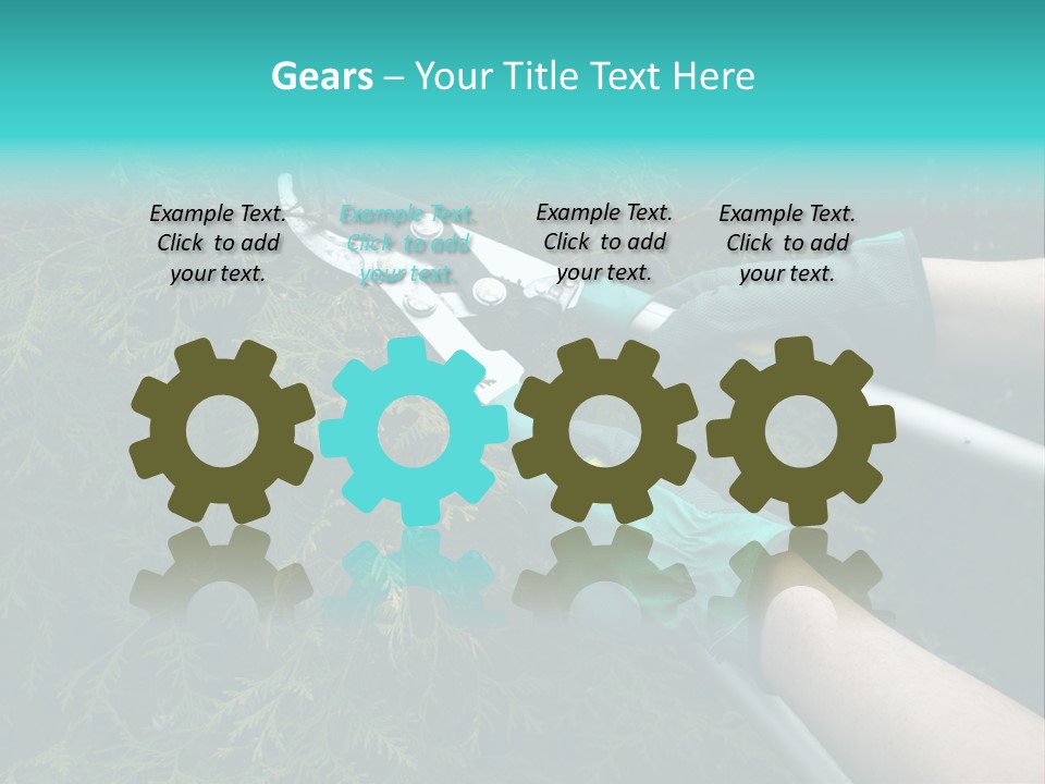Thuja Shearing Equipment PowerPoint Template