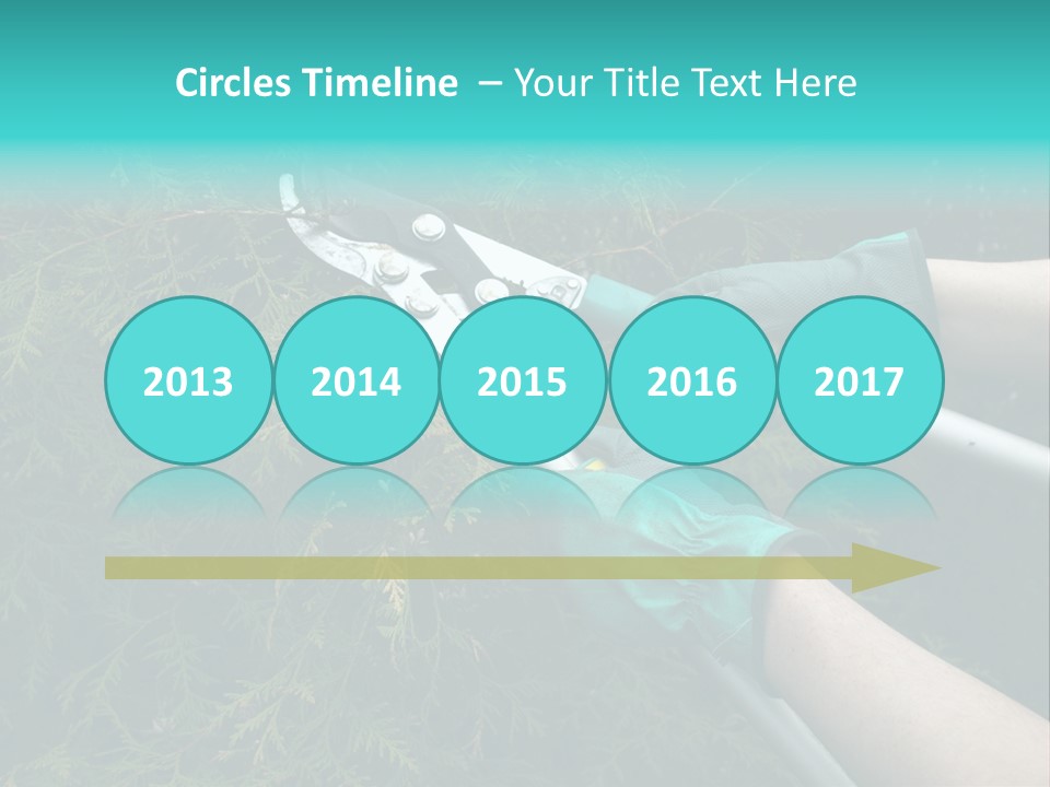 Thuja Shearing Equipment PowerPoint Template