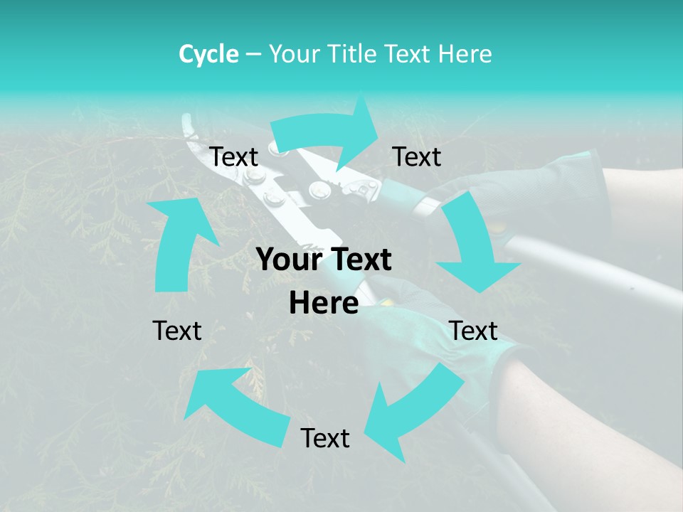 Thuja Shearing Equipment PowerPoint Template