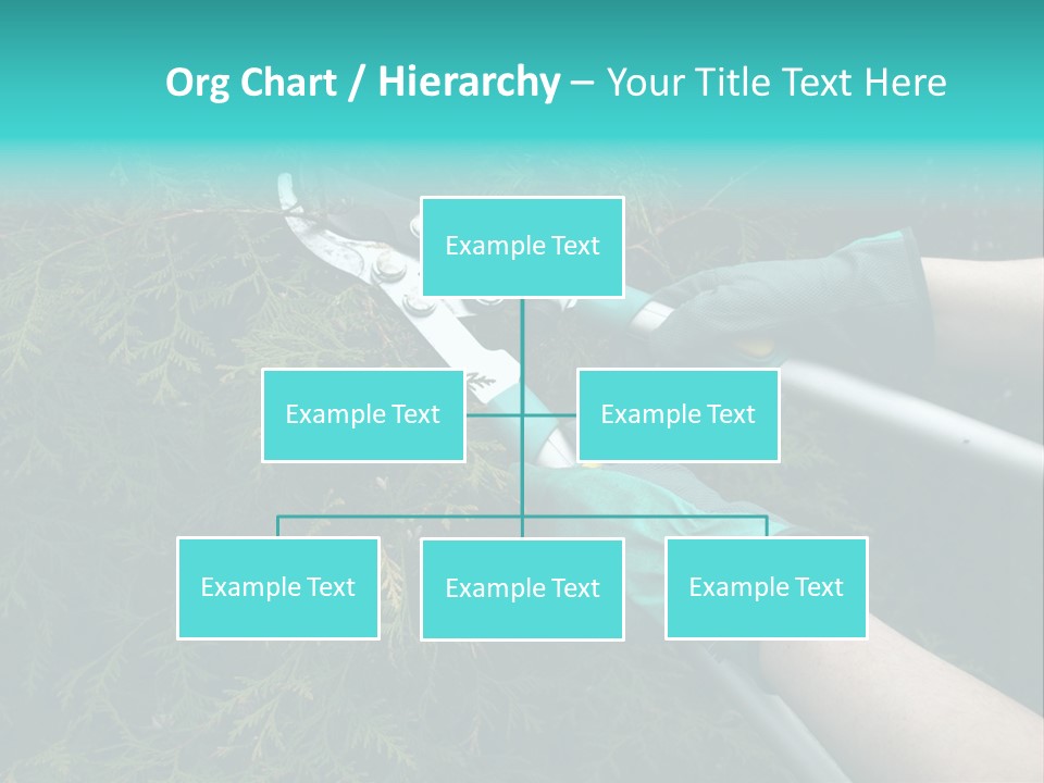 Thuja Shearing Equipment PowerPoint Template