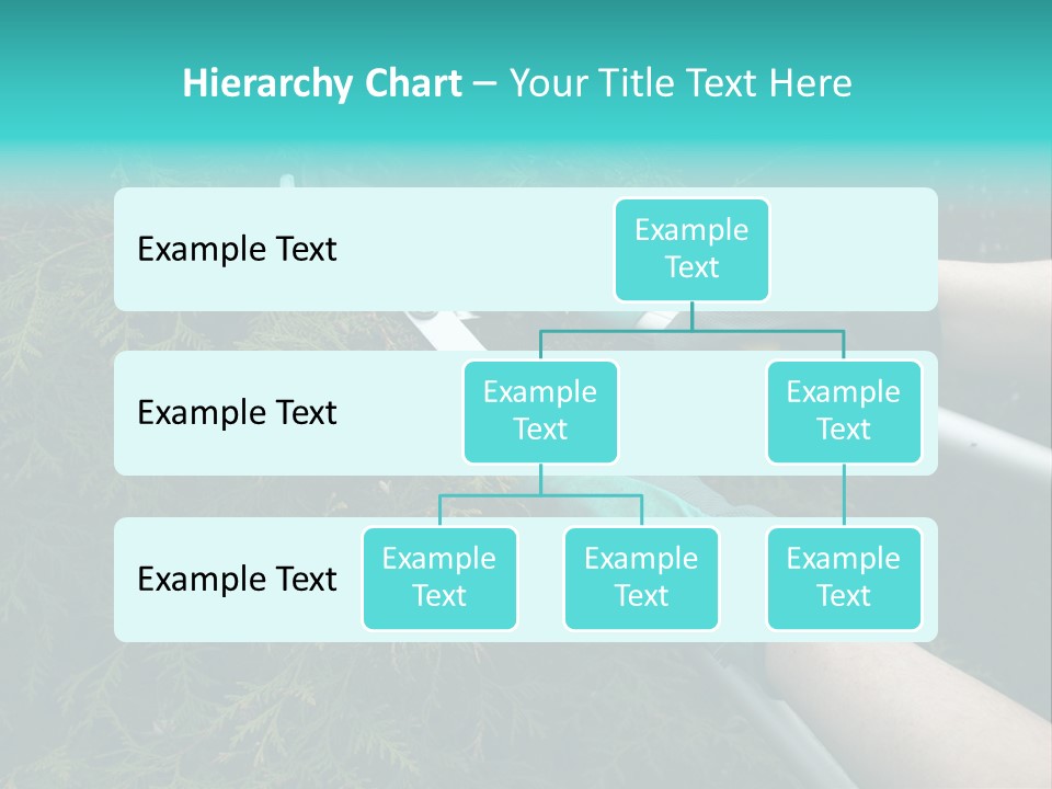 Thuja Shearing Equipment PowerPoint Template