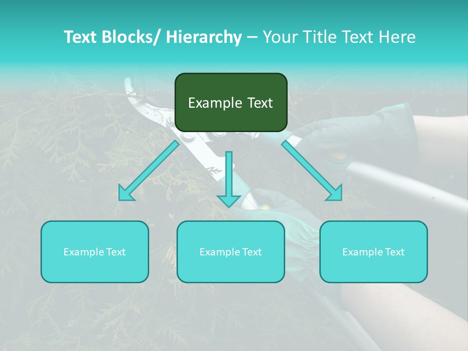 Thuja Shearing Equipment PowerPoint Template