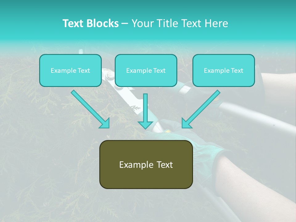 Thuja Shearing Equipment PowerPoint Template