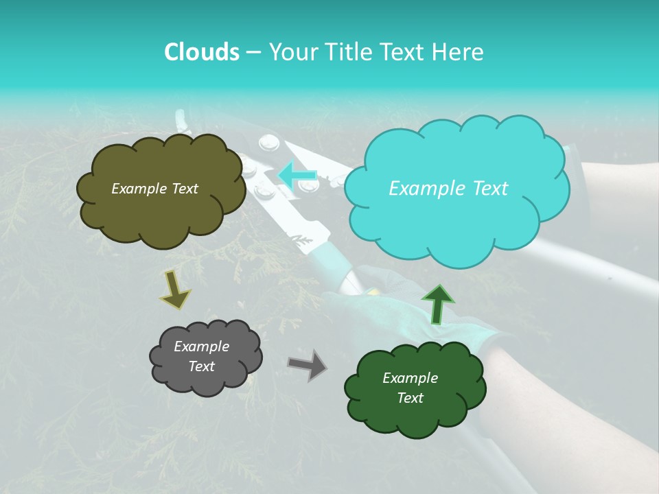 Thuja Shearing Equipment PowerPoint Template