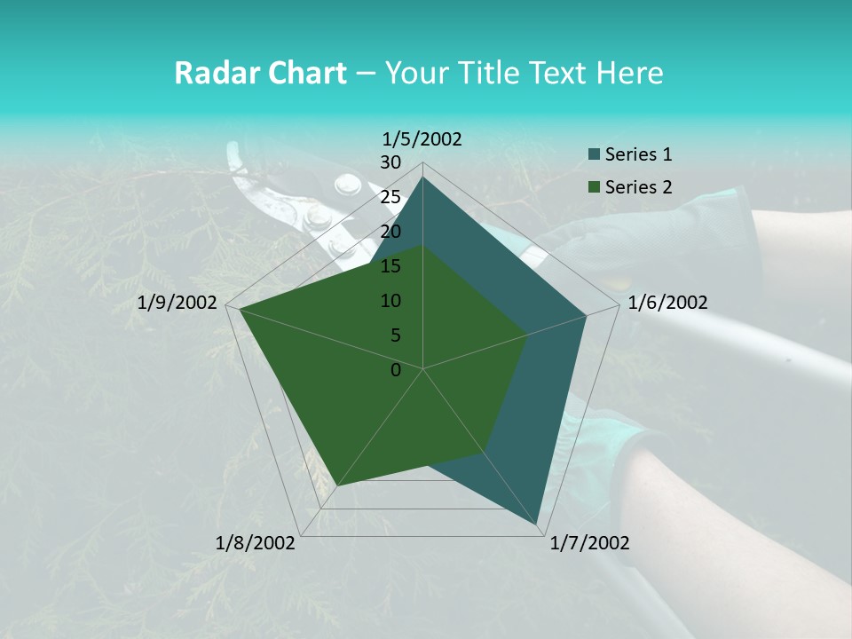 Thuja Shearing Equipment PowerPoint Template
