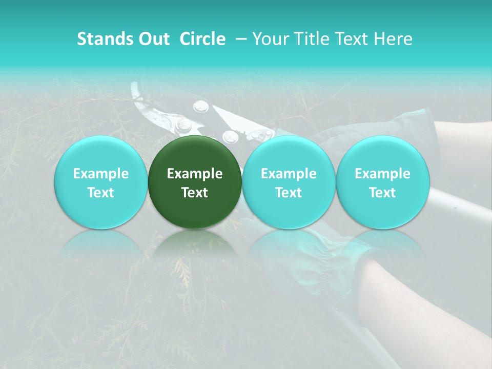 Thuja Shearing Equipment PowerPoint Template