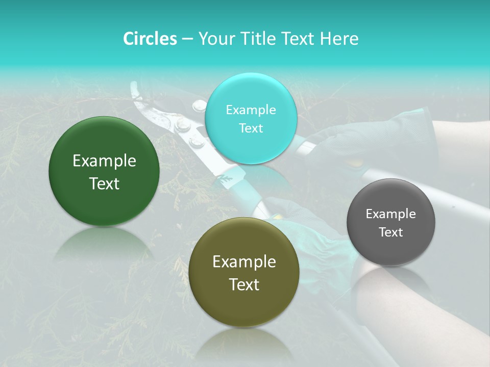Thuja Shearing Equipment PowerPoint Template