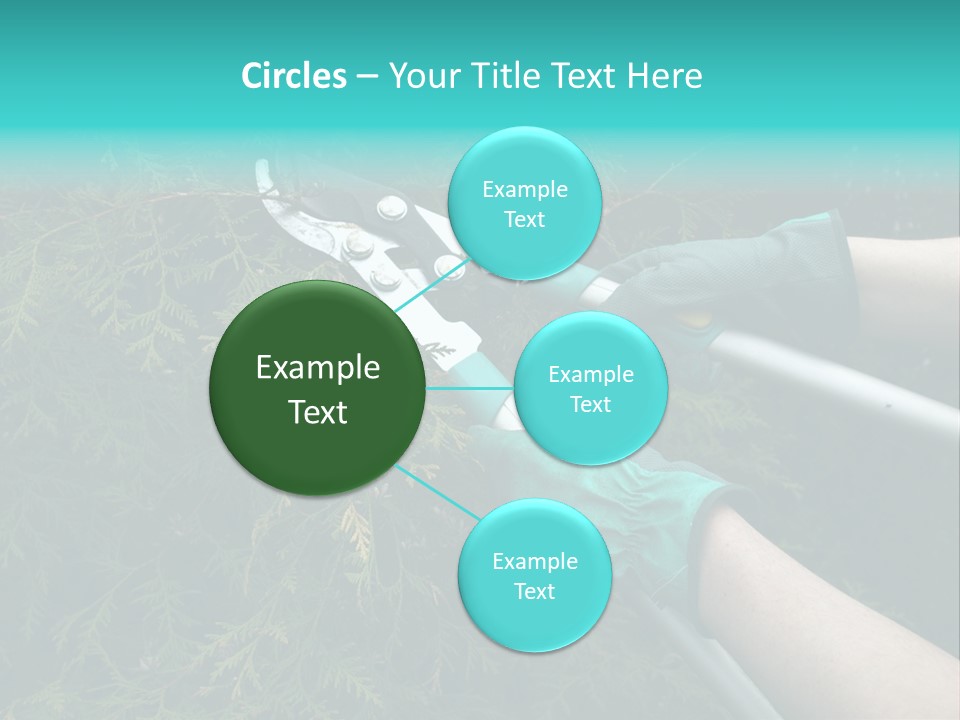 Thuja Shearing Equipment PowerPoint Template