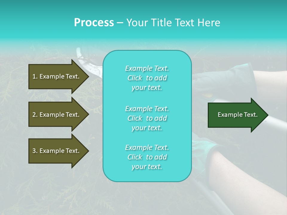 Thuja Shearing Equipment PowerPoint Template