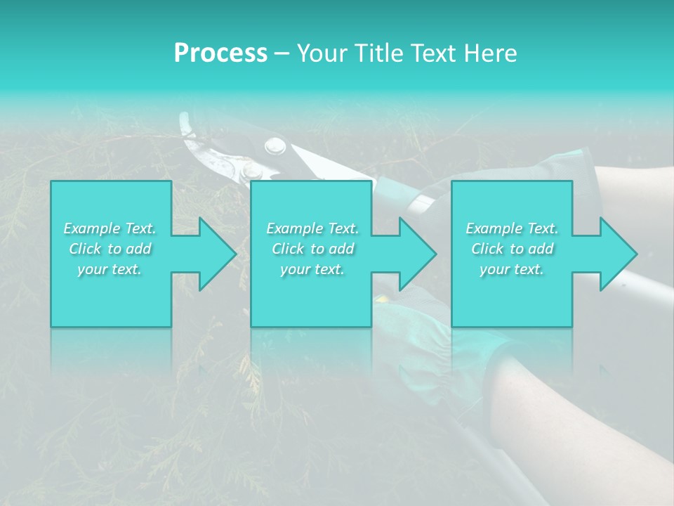 Thuja Shearing Equipment PowerPoint Template