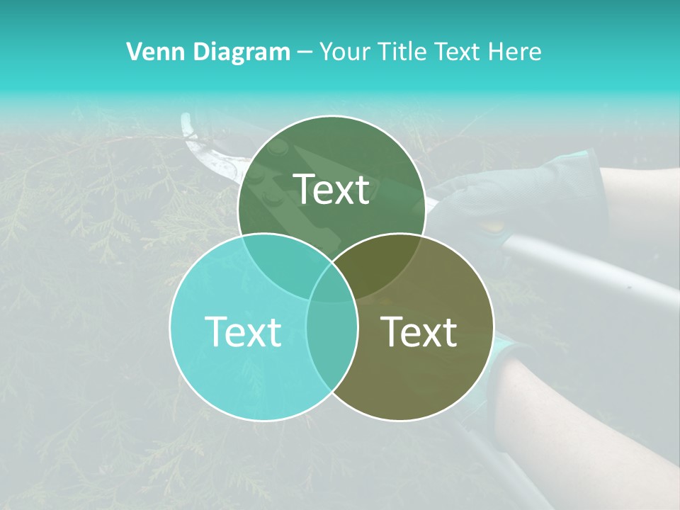 Thuja Shearing Equipment PowerPoint Template