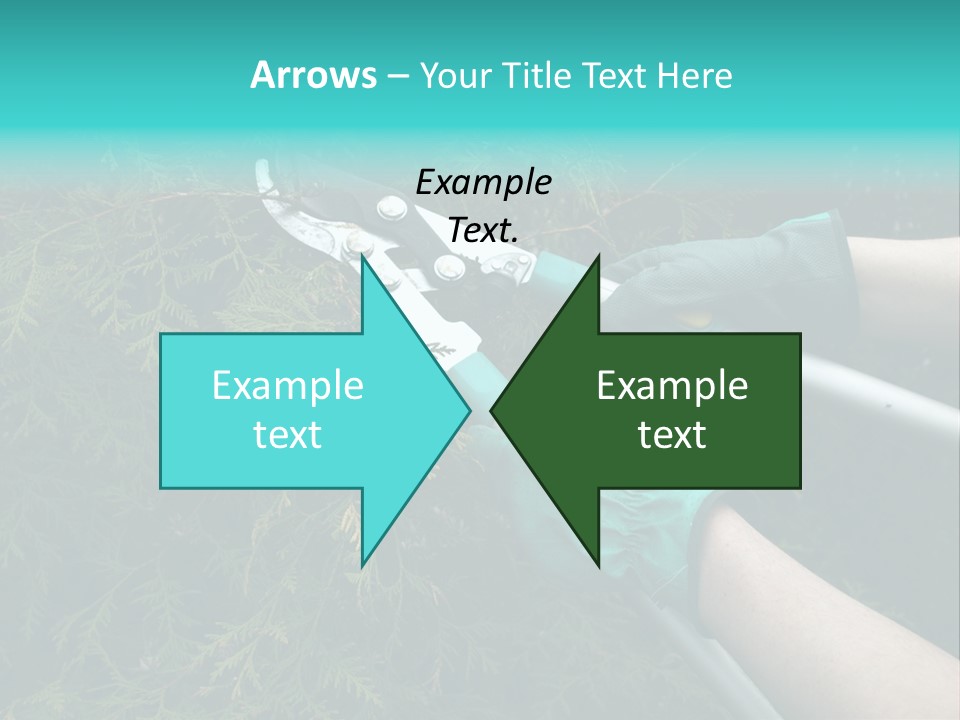 Thuja Shearing Equipment PowerPoint Template