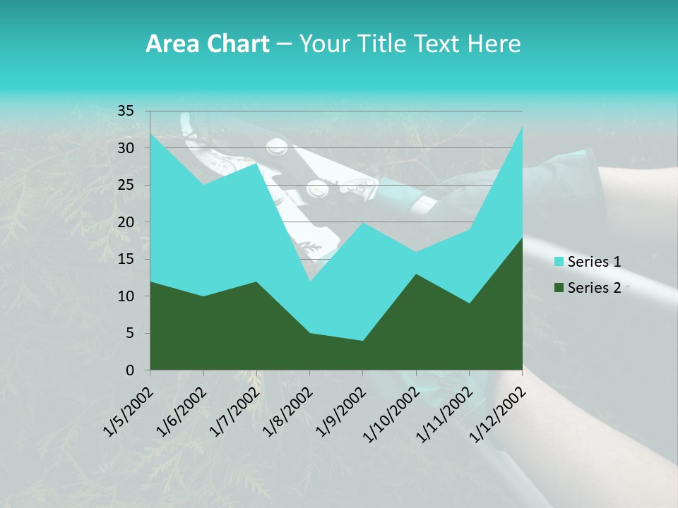Thuja Shearing Equipment PowerPoint Template