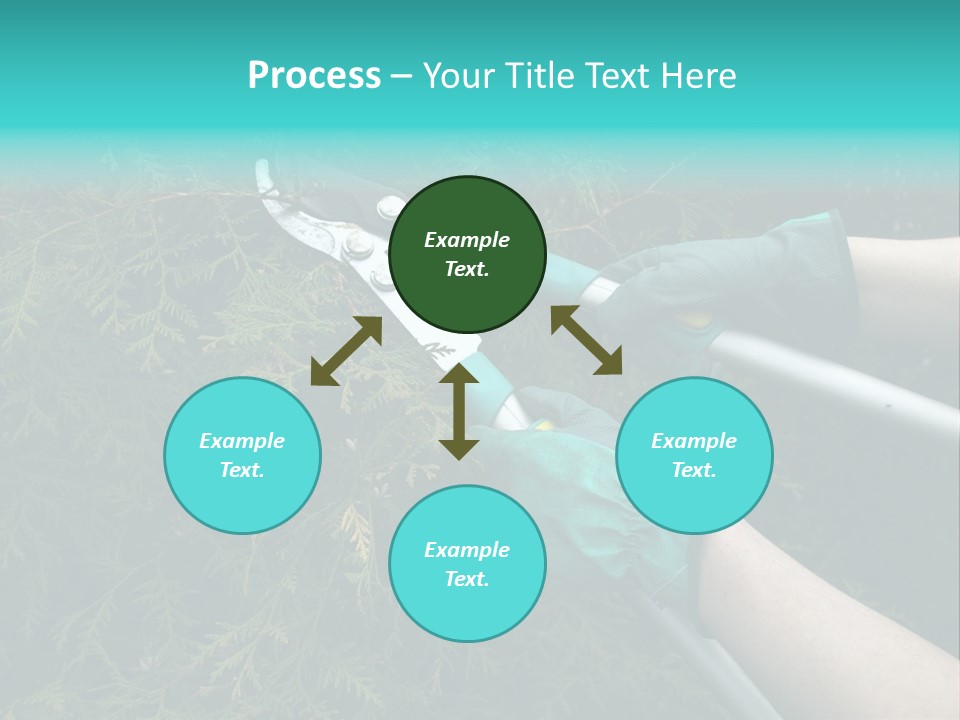 Thuja Shearing Equipment PowerPoint Template