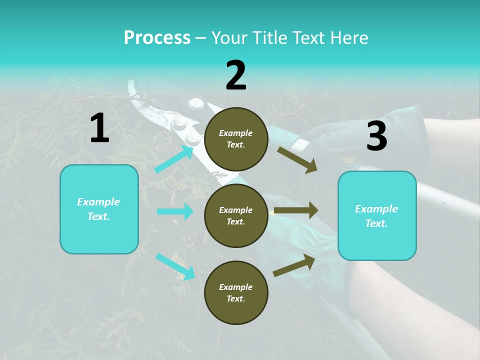 Thuja Shearing Equipment PowerPoint Template