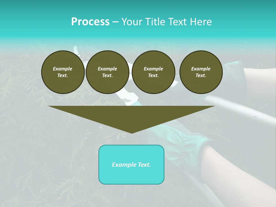 Thuja Shearing Equipment PowerPoint Template