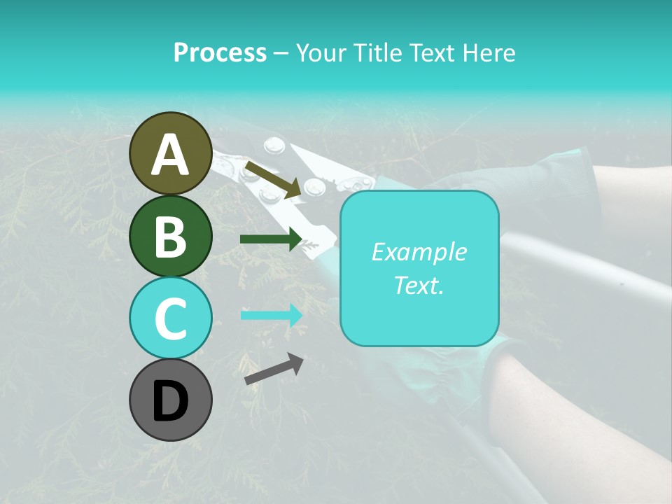 Thuja Shearing Equipment PowerPoint Template