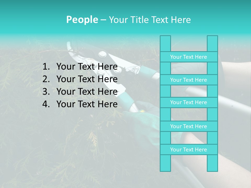 Thuja Shearing Equipment PowerPoint Template