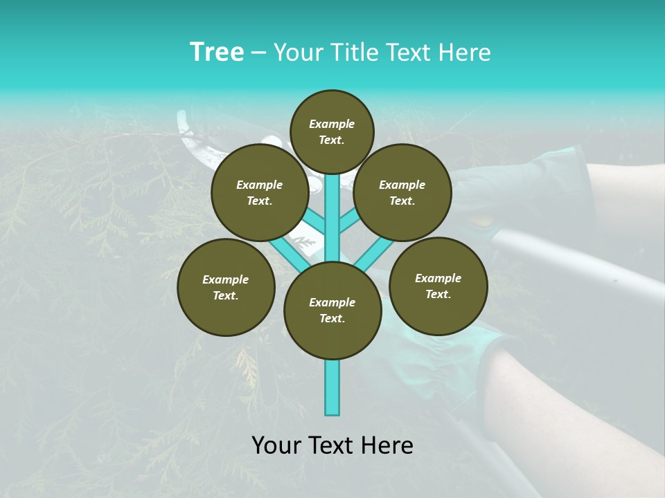 Thuja Shearing Equipment PowerPoint Template