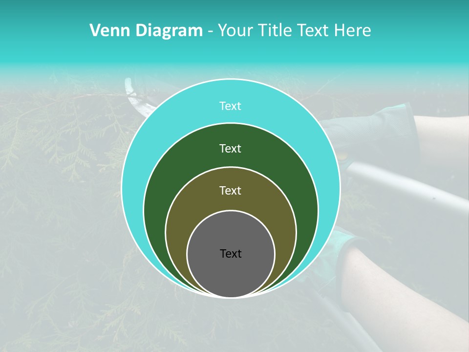 Thuja Shearing Equipment PowerPoint Template