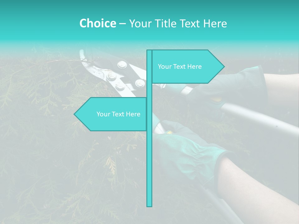 Thuja Shearing Equipment PowerPoint Template