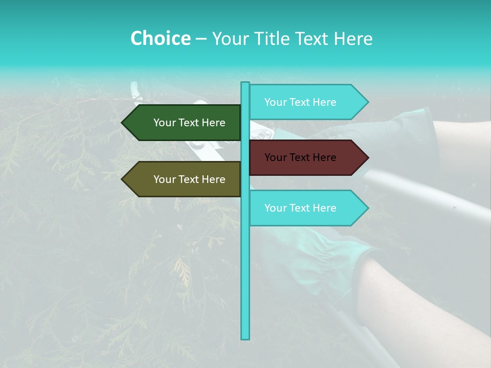 Thuja Shearing Equipment PowerPoint Template