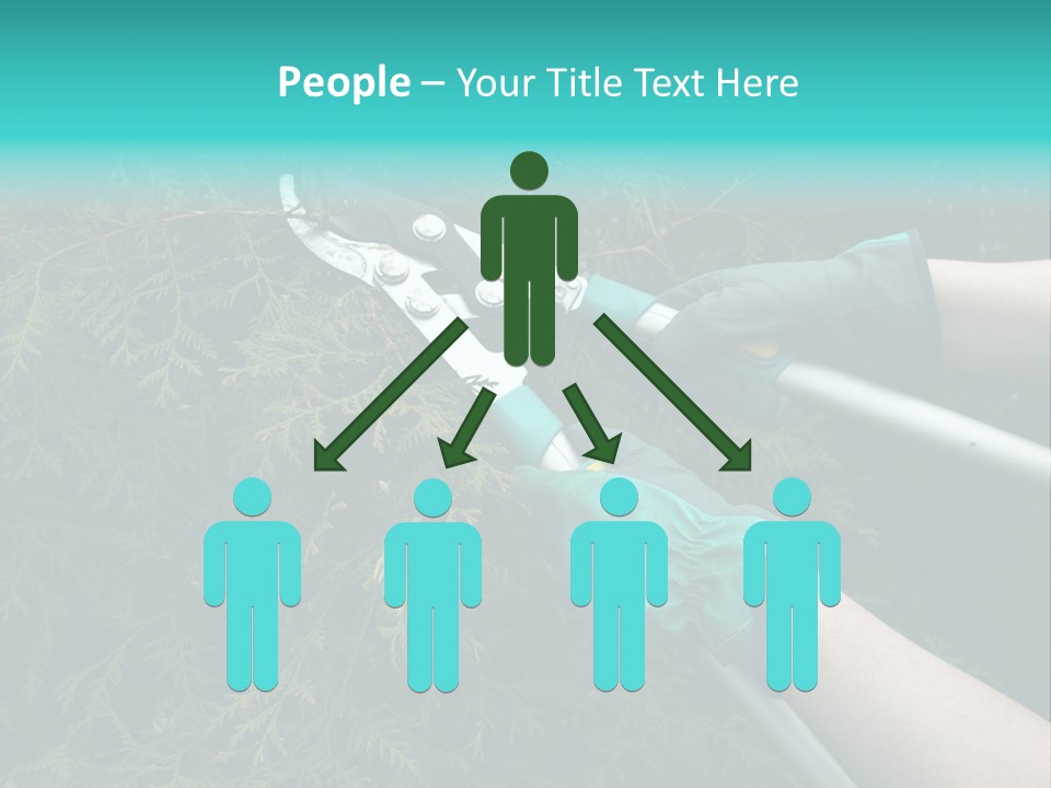 Thuja Shearing Equipment PowerPoint Template