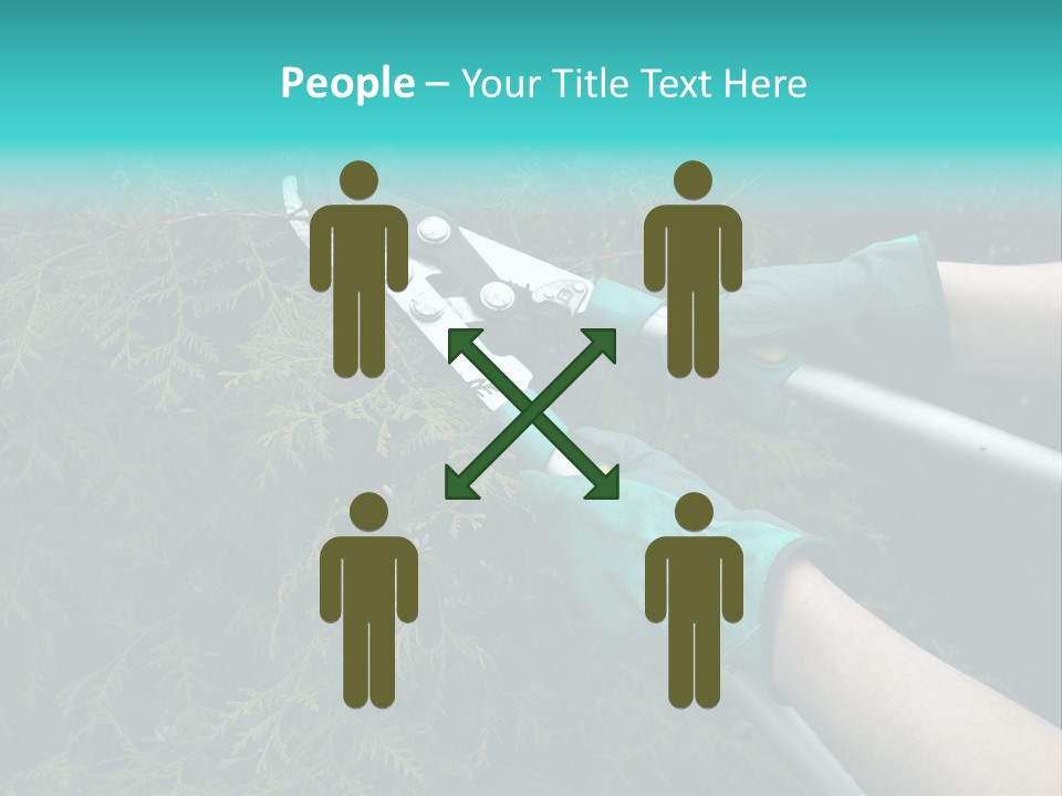 Thuja Shearing Equipment PowerPoint Template