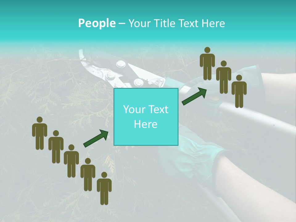 Thuja Shearing Equipment PowerPoint Template