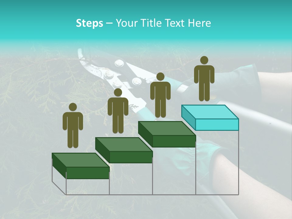 Thuja Shearing Equipment PowerPoint Template