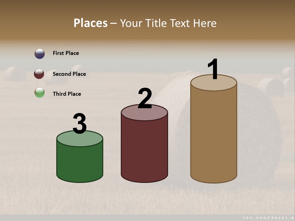 Sea Natural Romance PowerPoint Template