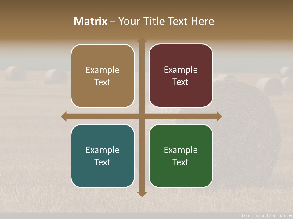 Sea Natural Romance PowerPoint Template