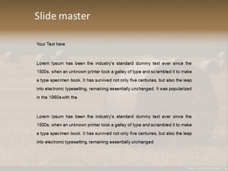 Sea Natural Romance PowerPoint Template