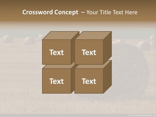 Sea Natural Romance PowerPoint Template