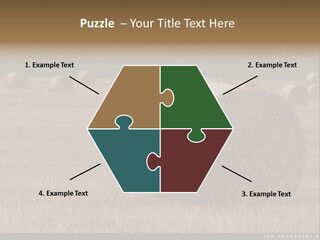 Sea Natural Romance PowerPoint Template