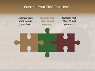 Sea Natural Romance PowerPoint Template