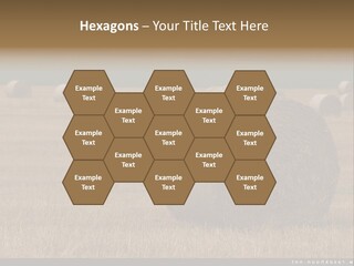 Sea Natural Romance PowerPoint Template