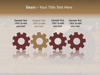 Sea Natural Romance PowerPoint Template